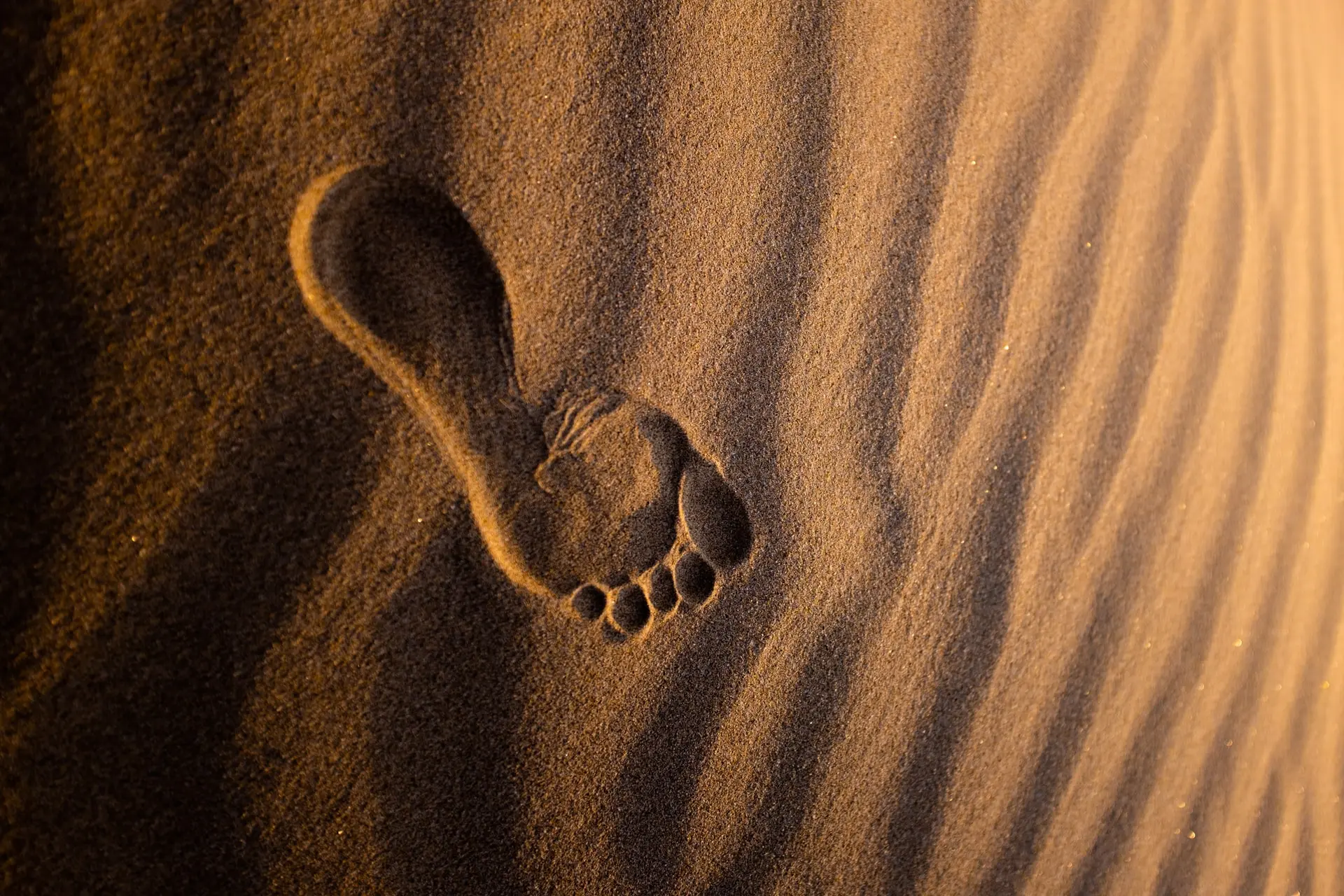 An isolated footprint on a sandy surface