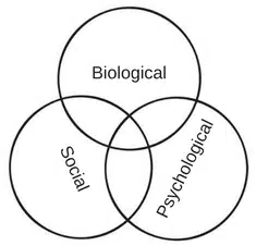 Chronic Pain BPS Mode of Pain