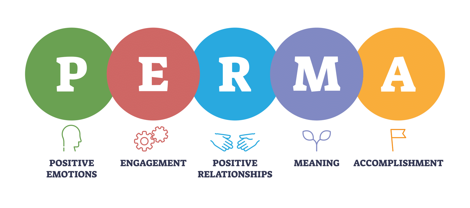 Positive Psychology Secrets to Flourishing in Life