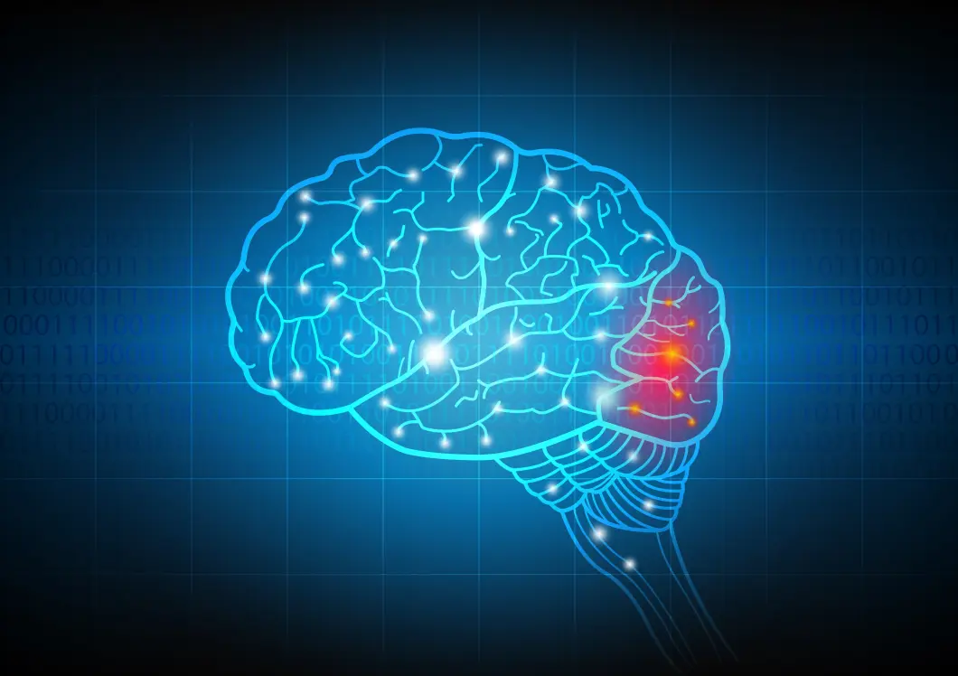 Reticular Activating System (RAS) Neuroscience Neuropsychology Cognitive Performance Mind Health