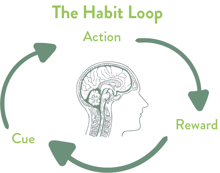 The Science of Habit Formation: 5 Essential Tips for Lasting Change habit loop habit formation mind health